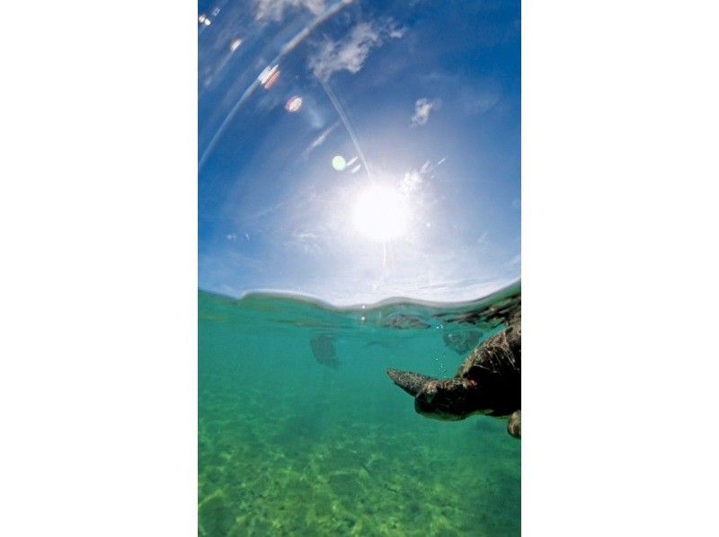 nico 宮古島 のギャラリー