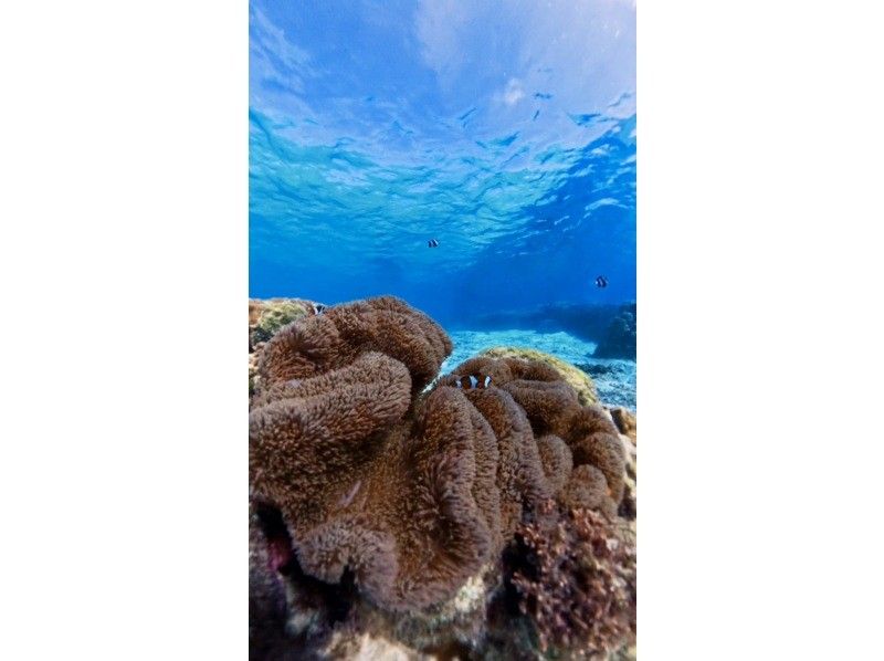 nico 宮古島 のギャラリー