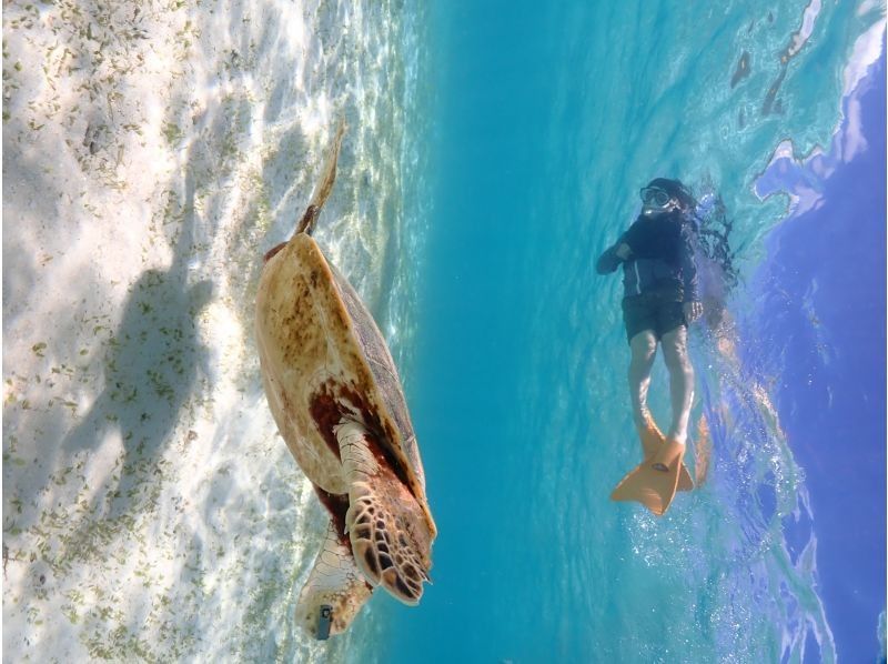 宮古島マリンショップSmiley のギャラリー