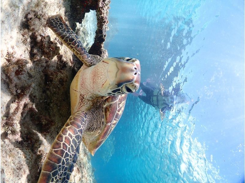 宮古島マリンショップSmiley のギャラリー