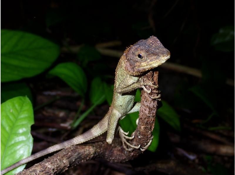 宮古島マリンショップSmiley のギャラリー