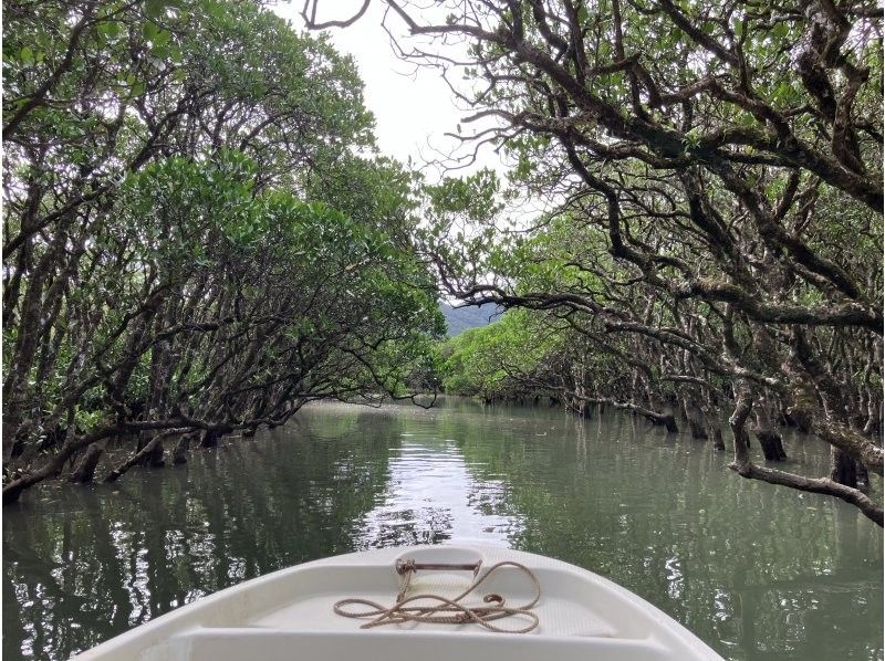 Oceania（オーシャニア） のギャラリー