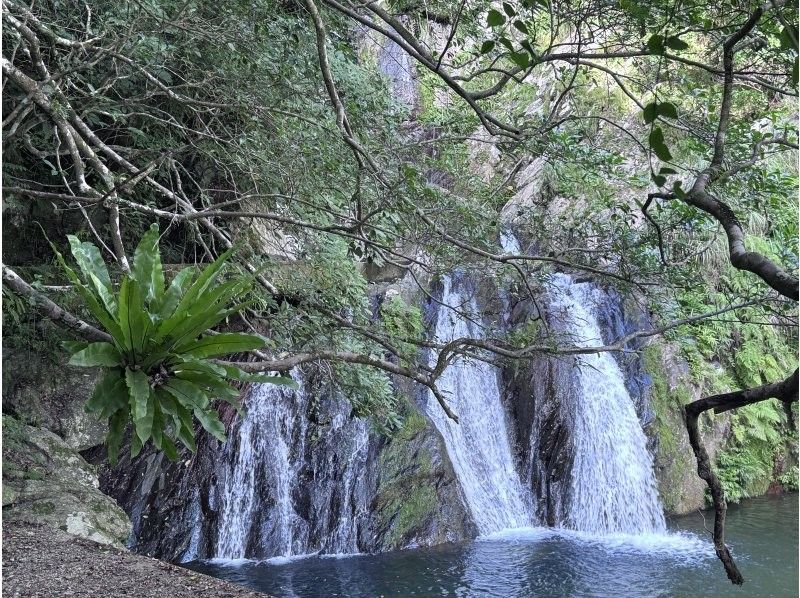 Oceania（オーシャニア） のギャラリー