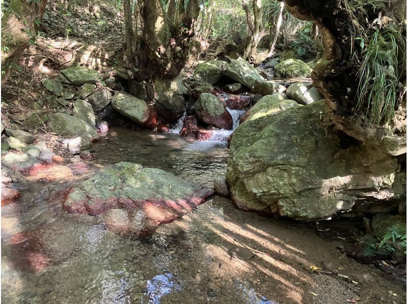 Oceania（オーシャニア） のギャラリー