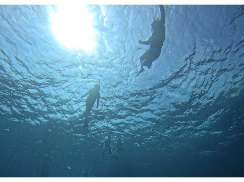 Sea Chan 石垣島 のギャラリー