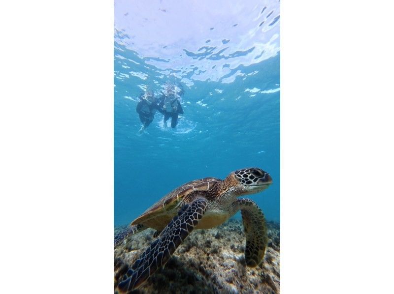 宮古島マリン SUGAR3 のギャラリー