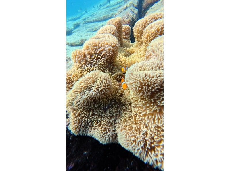 宮古島マリン SUGAR3 のギャラリー