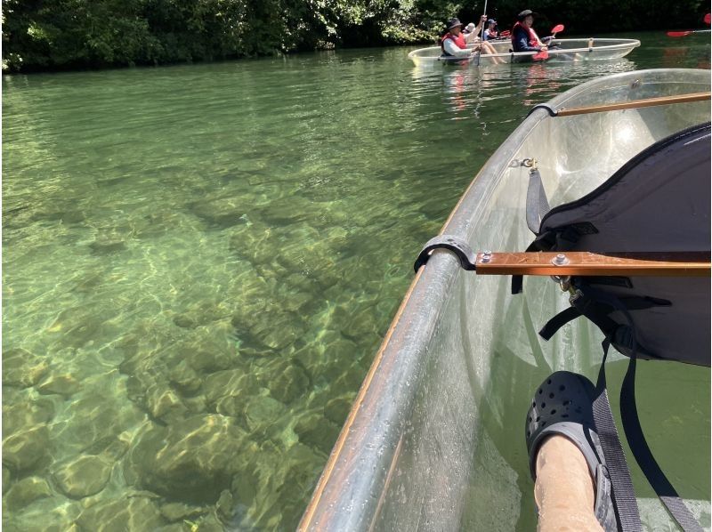 仁淀川カヌー のギャラリー