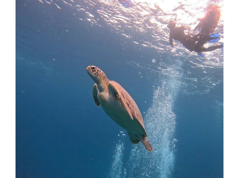 RUANOA 石垣島 のギャラリー
