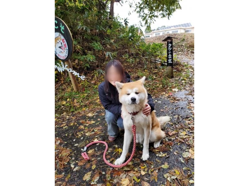 一般社団法人ヘルスケアデザイン秋田 のギャラリー