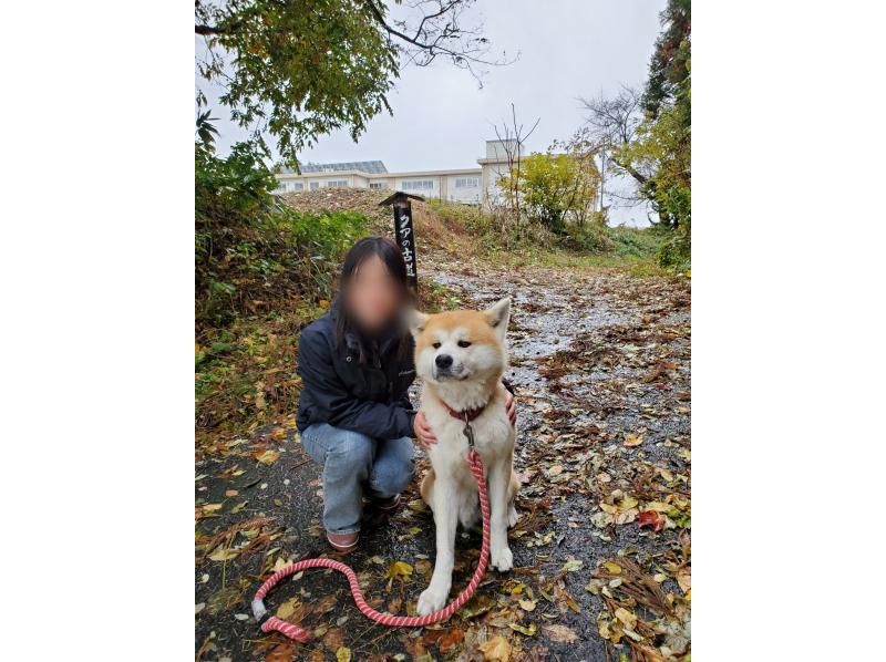 一般社団法人ヘルスケアデザイン秋田 のギャラリー