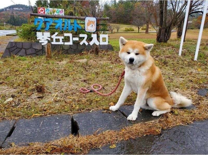 一般社団法人ヘルスケアデザイン秋田 のギャラリー