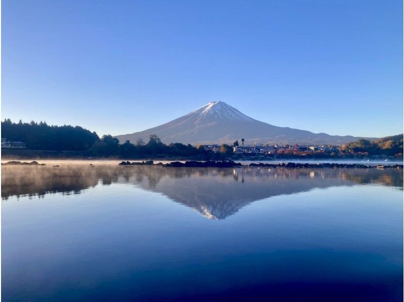 キョウロロ のギャラリー