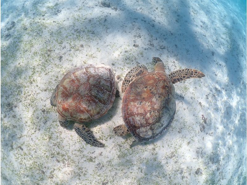 宮古島マリンショップSmiley のギャラリー