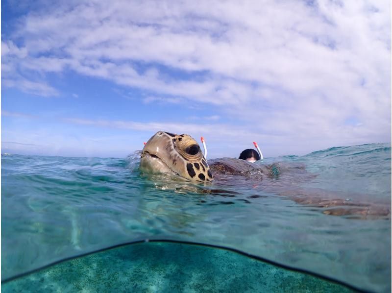 宮古島マリンショップSmiley のギャラリー