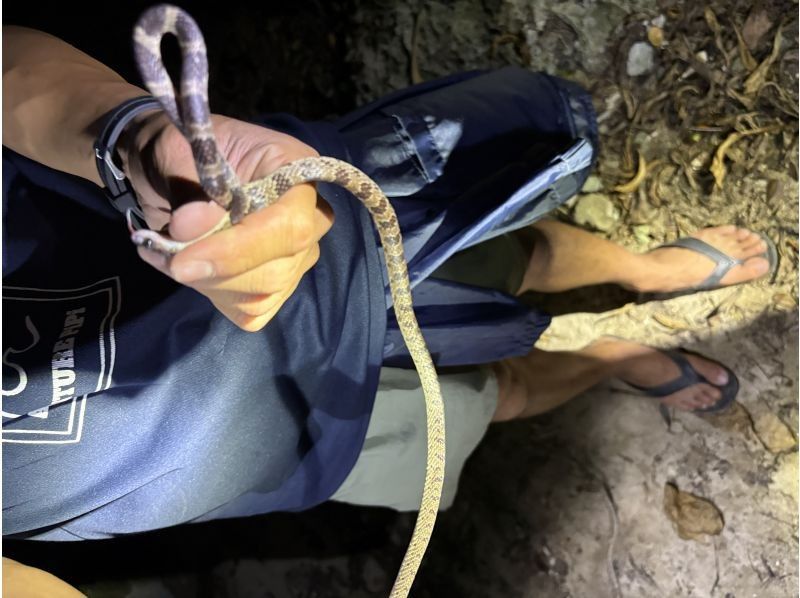 石垣島  ADVENTURE PiPi（ピピ） のギャラリー