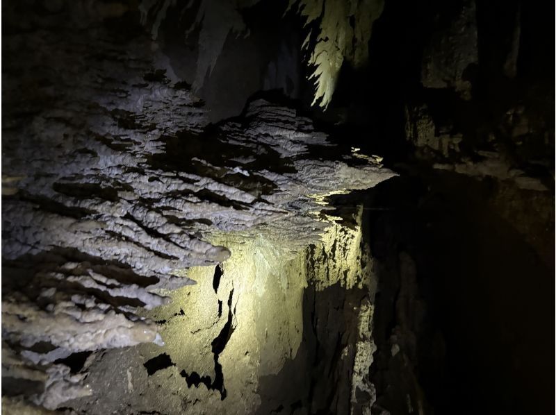 石垣島  ADVENTURE PiPi（ピピ） のギャラリー