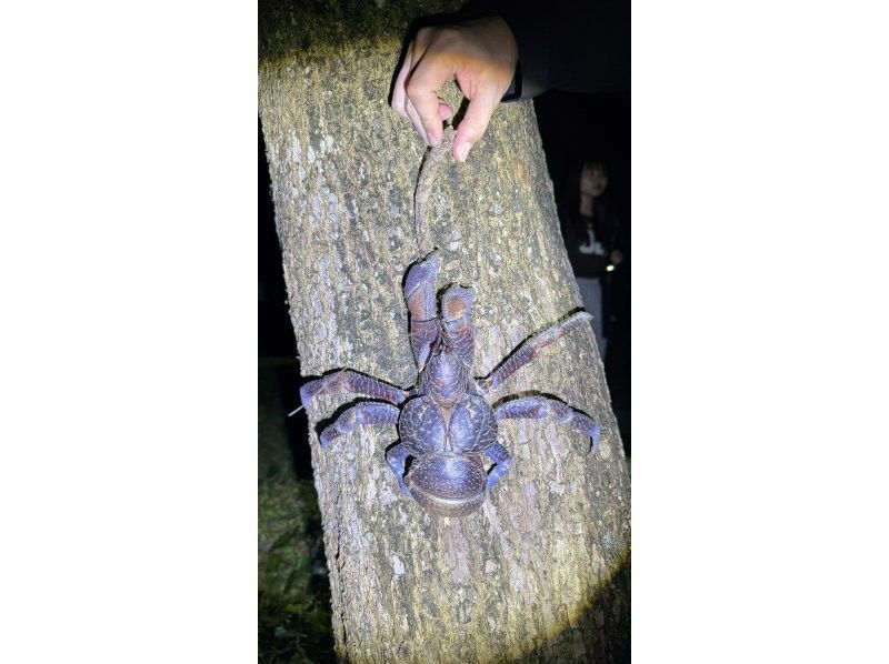 宮古島マリンショップSmiley のギャラリー