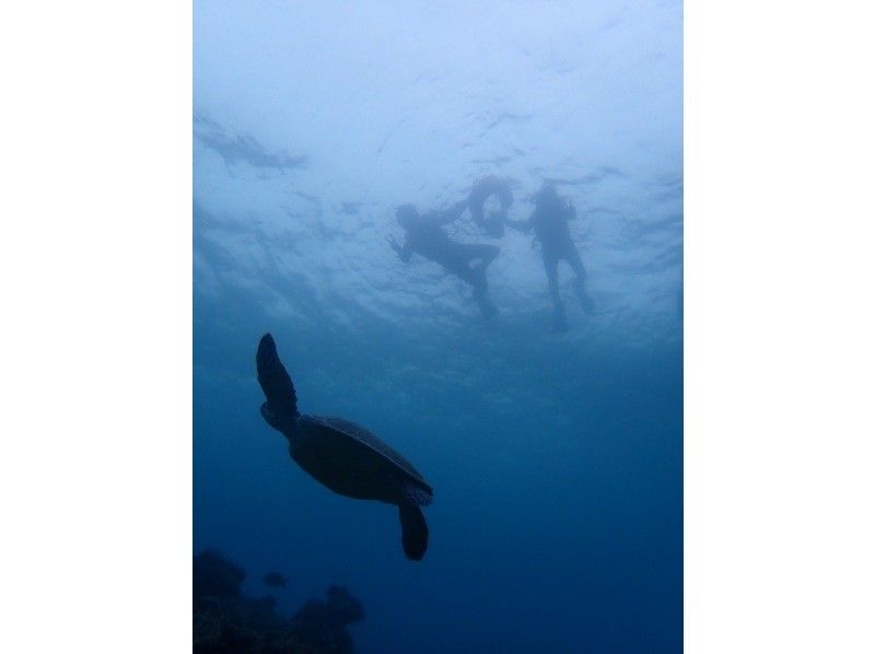 3 piece のギャラリー