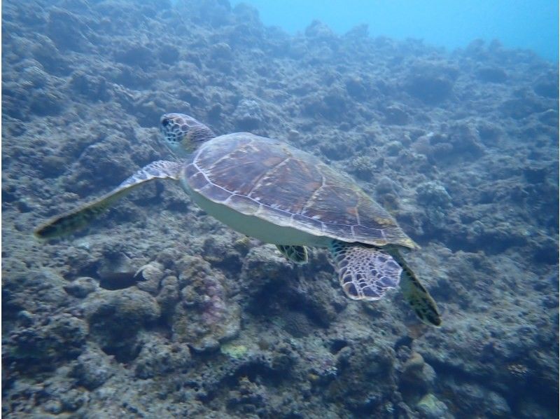 3 piece のギャラリー