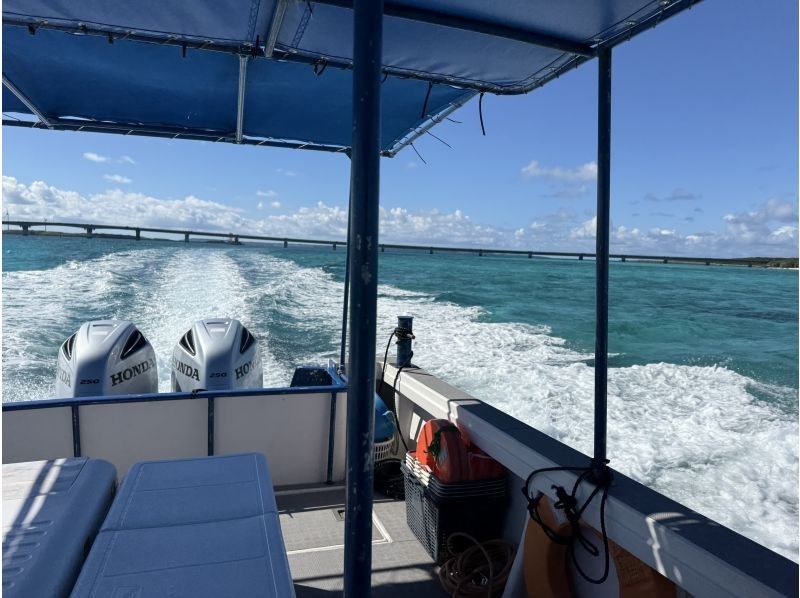 マリンショップヤビジ(MARINE SHOP YABIZI) のギャラリー