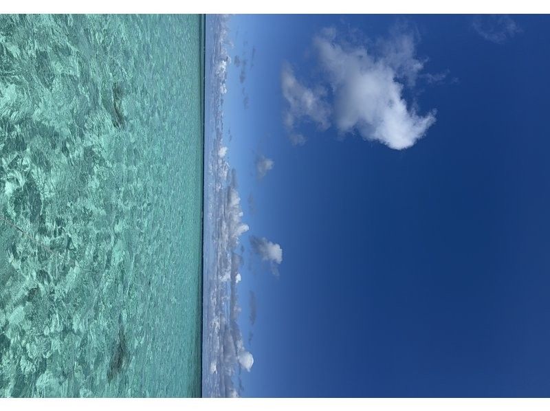 マリンショップヤビジ(MARINE SHOP YABIZI) のギャラリー