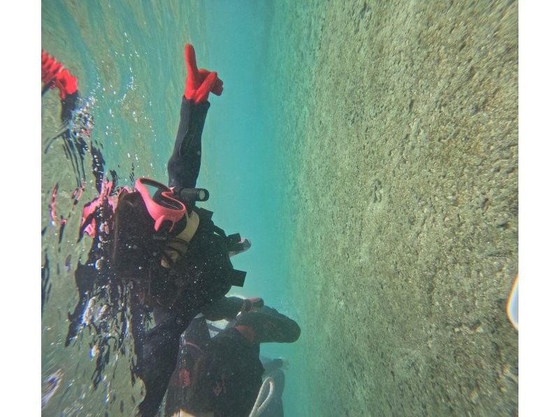 沖縄ダイビングショップシーモール のギャラリー