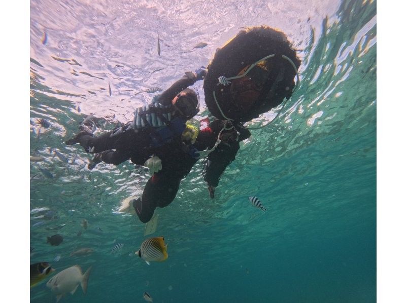 沖縄ダイビングショップシーモール のギャラリー