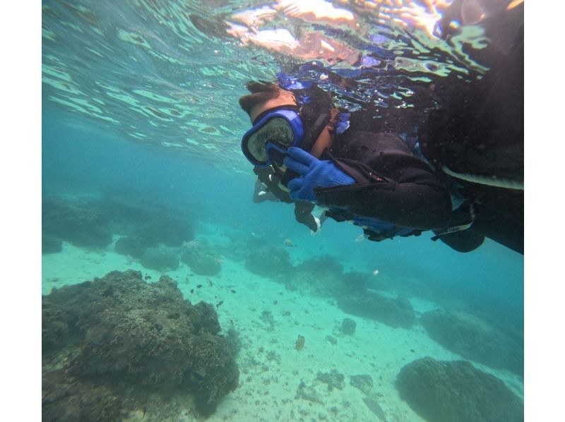 沖縄ダイビングショップシーモール のギャラリー