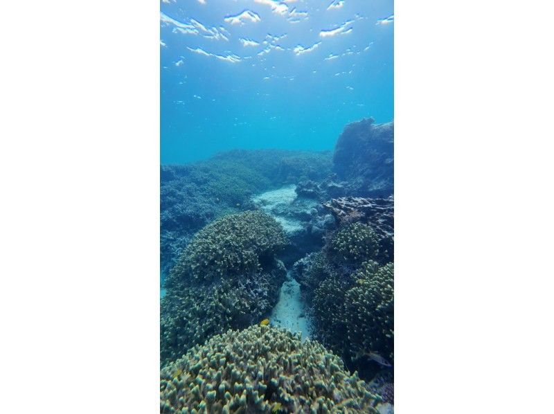 石垣島  ADVENTURE PiPi（ピピ） のギャラリー