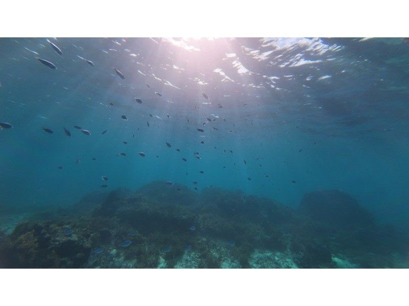 石垣島  ADVENTURE PiPi（ピピ） のギャラリー