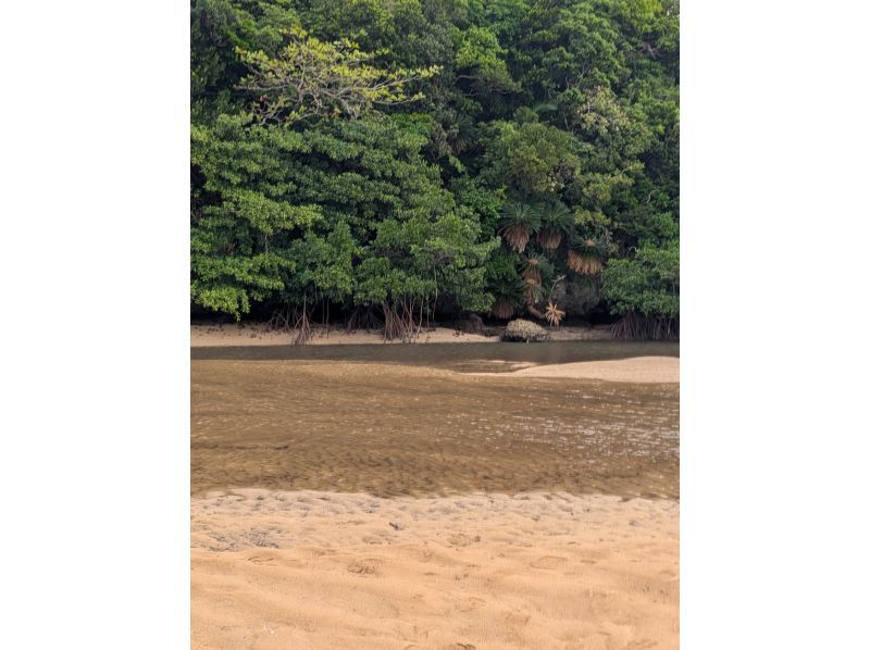 marinemate Luana のギャラリー