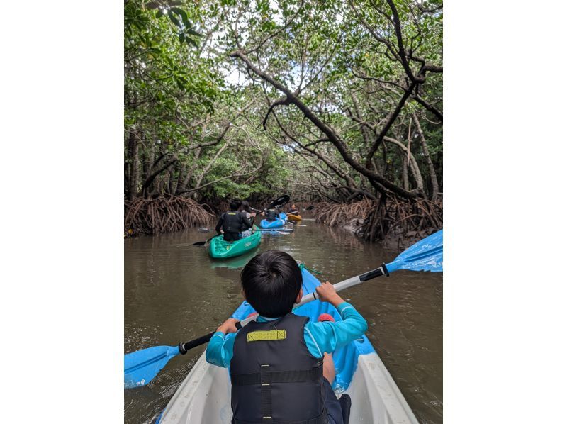 marinemate Luana のギャラリー