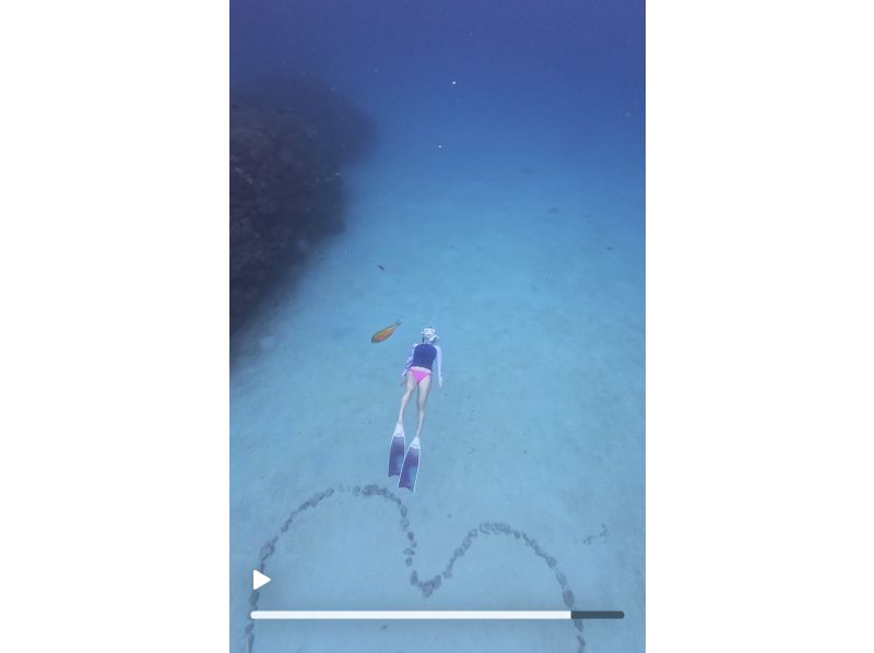 あいらんど のギャラリー