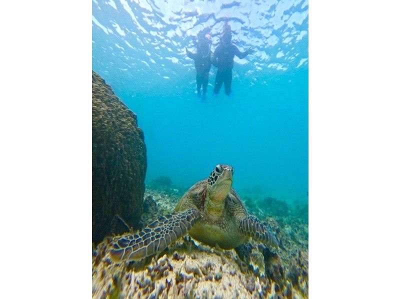 宮古島 ADVENTURE PiPi（ピピ） のギャラリー