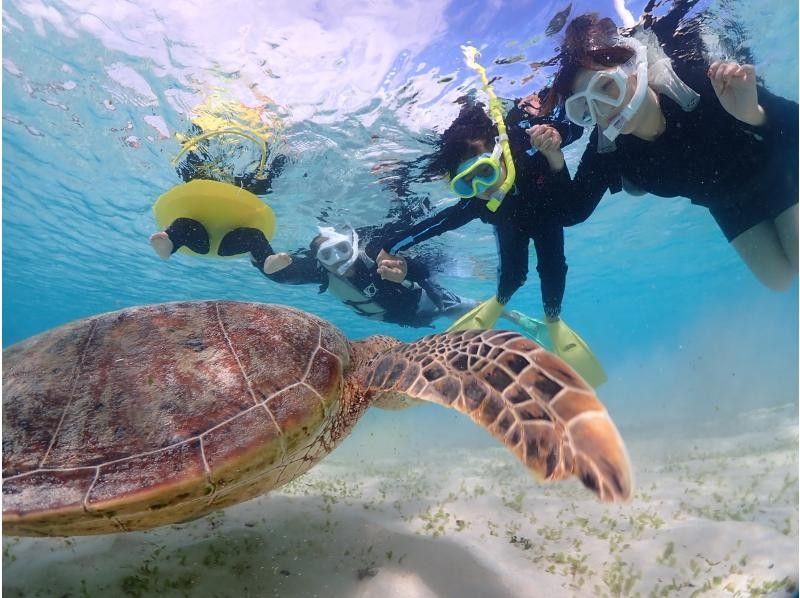 宮古blueまほろば のギャラリー