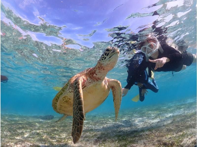 宮古blueまほろば のギャラリー