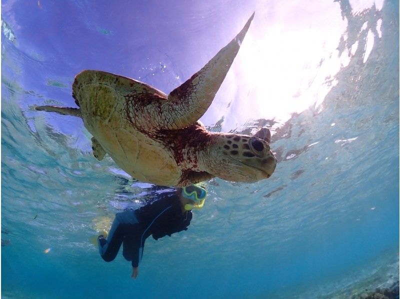 宮古blueまほろば のギャラリー