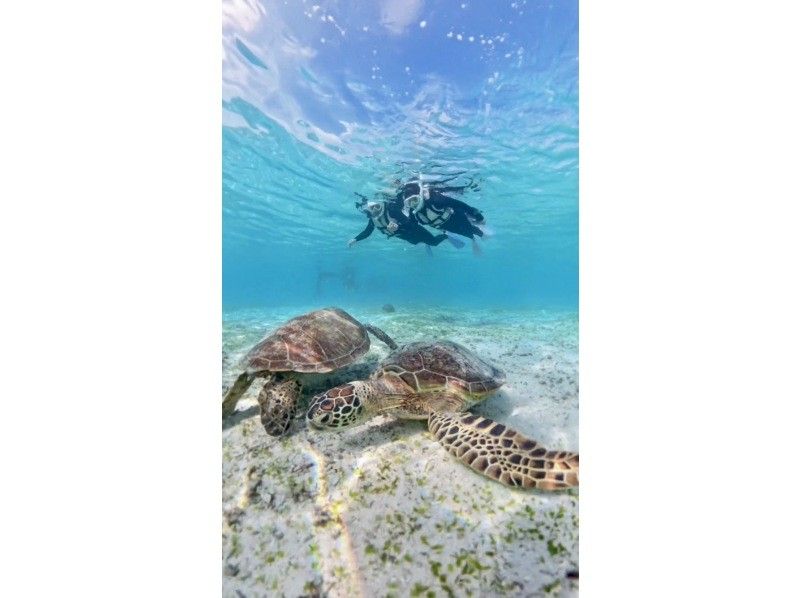 nico 宮古島 のギャラリー