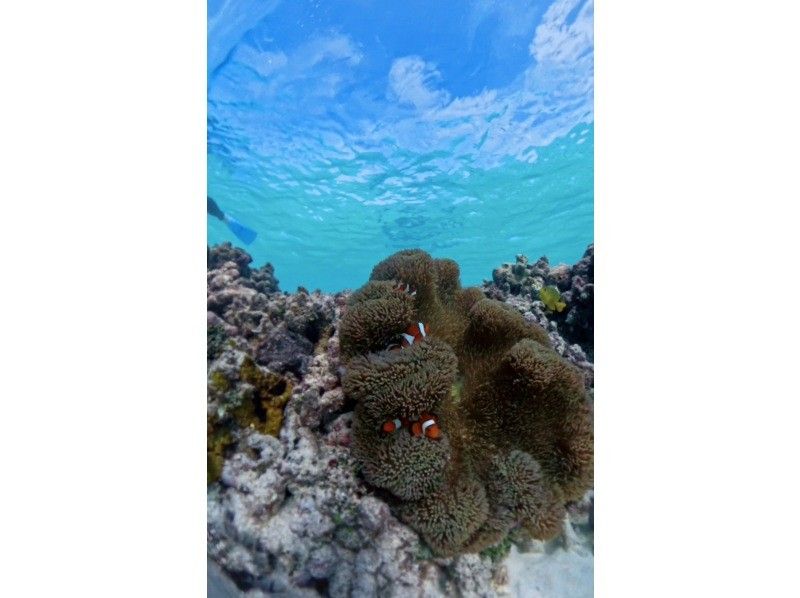 nico 宮古島 のギャラリー