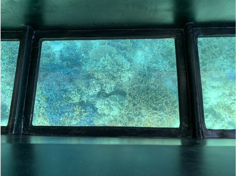 まりんはうすぐるくん のギャラリー