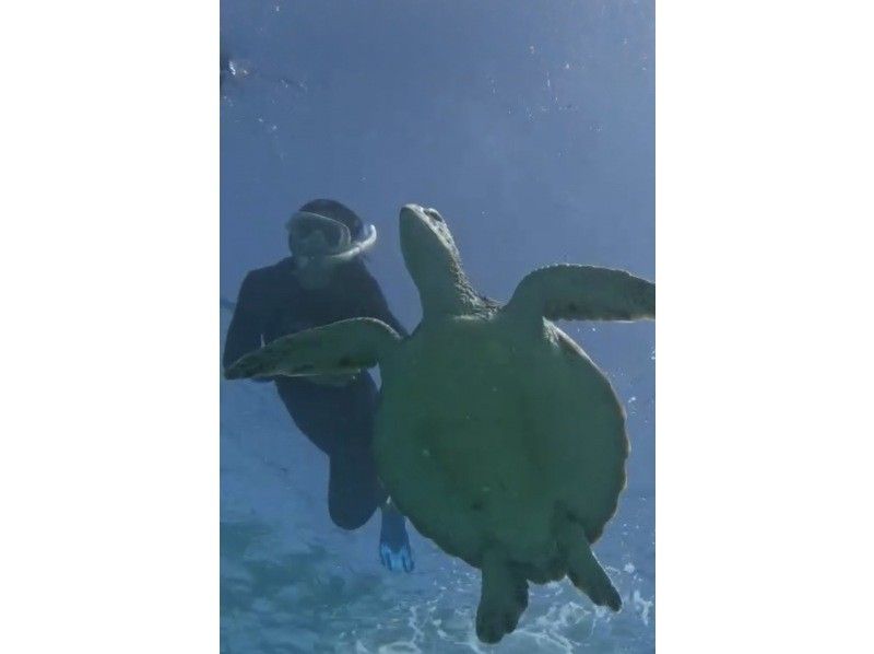 マーレ石垣島 のギャラリー