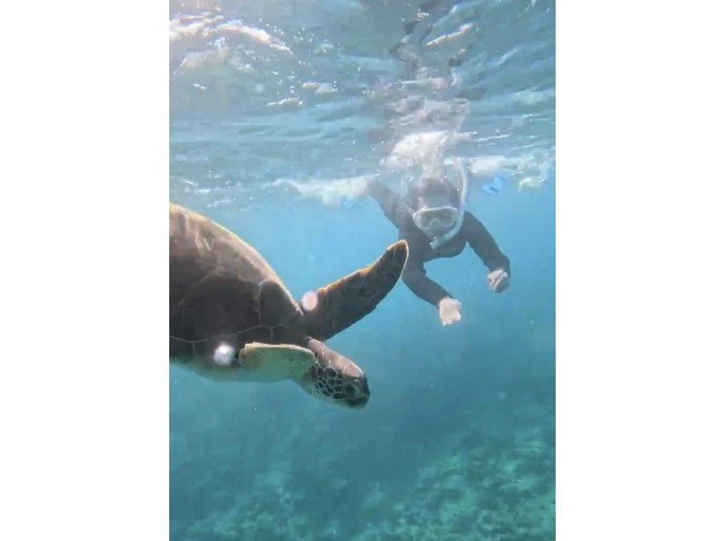 マーレ石垣島 のギャラリー