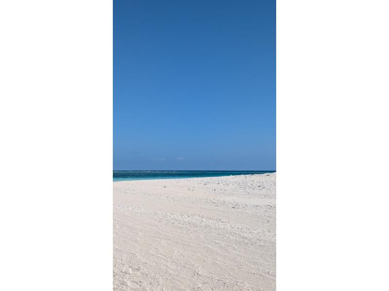 久米島マリンスポーツクラブ のギャラリー