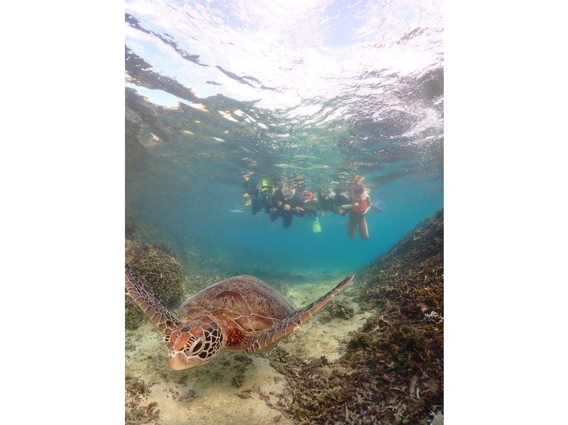 nico 宮古島 のギャラリー