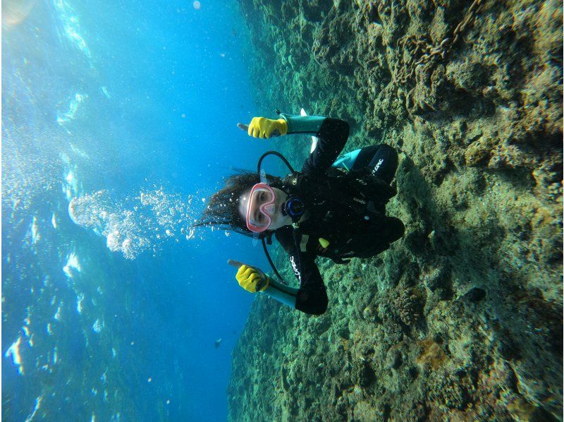 武藤潜水 のギャラリー