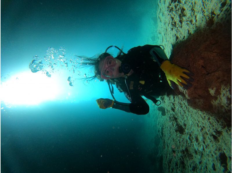 武藤潜水 のギャラリー