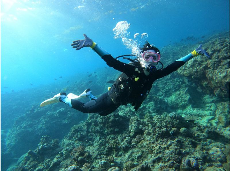 武藤潜水 のギャラリー