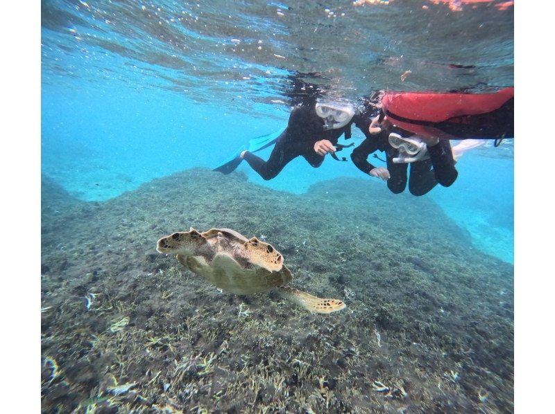 OCEAN LIFE のギャラリー