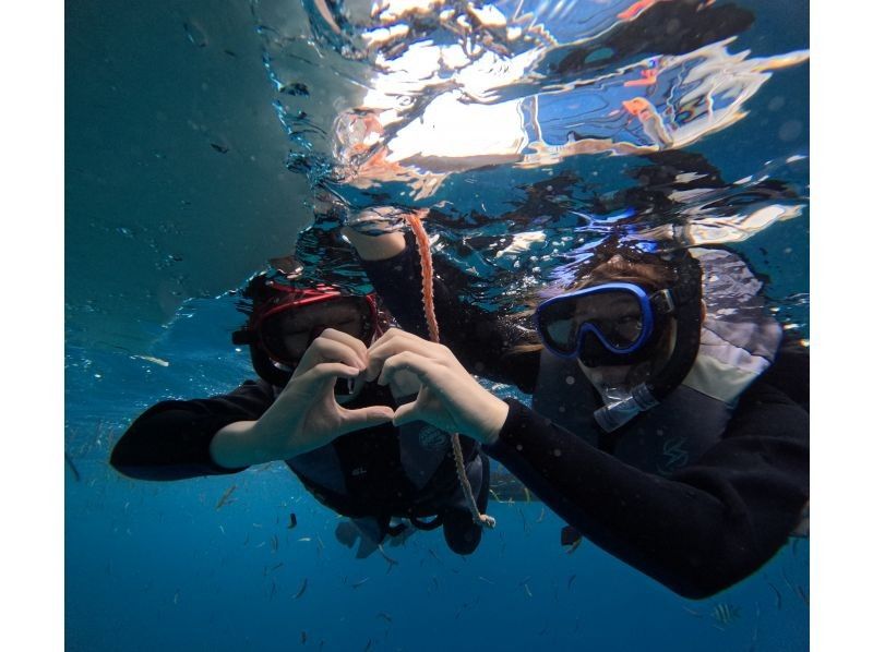 琉球オルカ のギャラリー